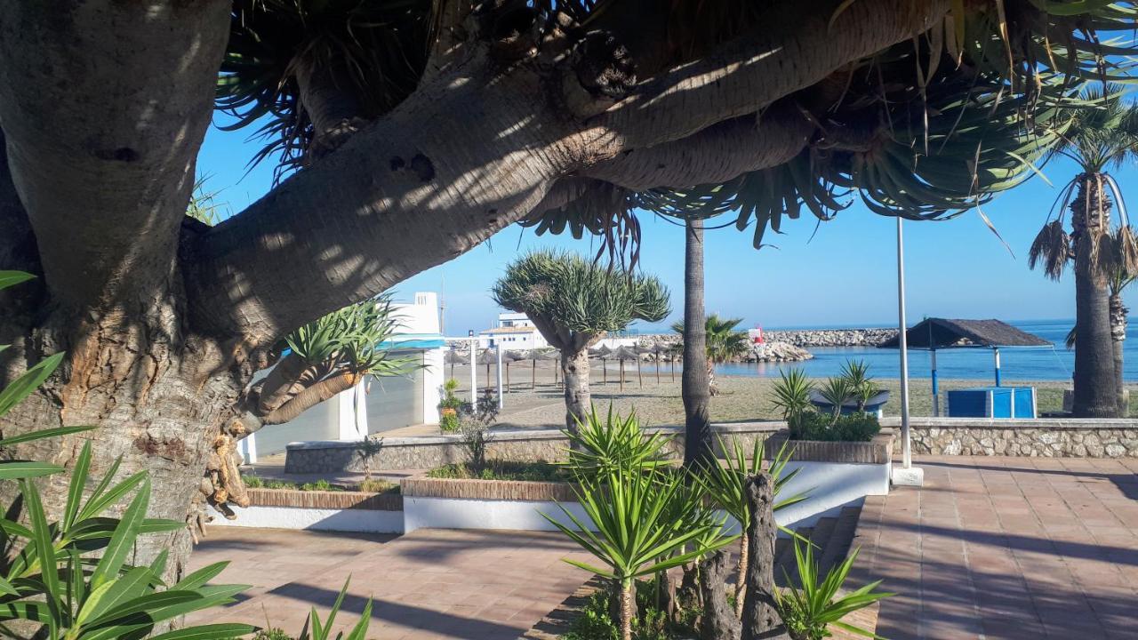 Apartamento 409 Marina Real Puerto De La Duquesa Playa Manilva Eksteriør billede